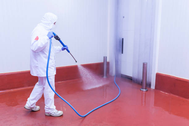 Best Sign and Awning Cleaning  in Beacon Square, FL